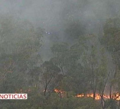 Arcebispo pede doações para vítimas de incêndios florestais na Austrália